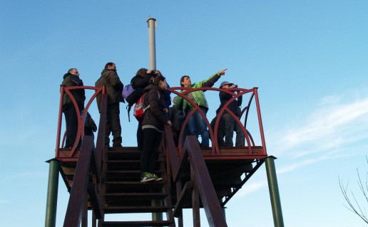 21_Žemaitiškių paukščiu steb. bokštelis S.Mudinienė.jpg